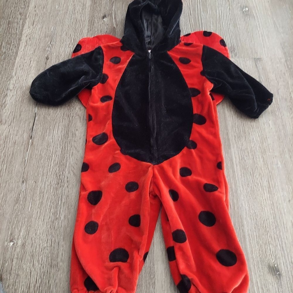 Red and Black Ladybug Costume for Kids - Picture 2 of 6